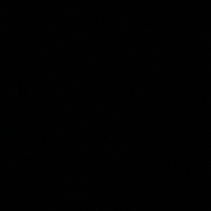 Meet your Posher, Logan